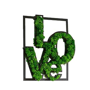 Green Eco-friendly Moss Letter LOVE Metal Wall Art Home Wall Decor (19.8 in. W x 1.58 in. D x 21.3 in. H)