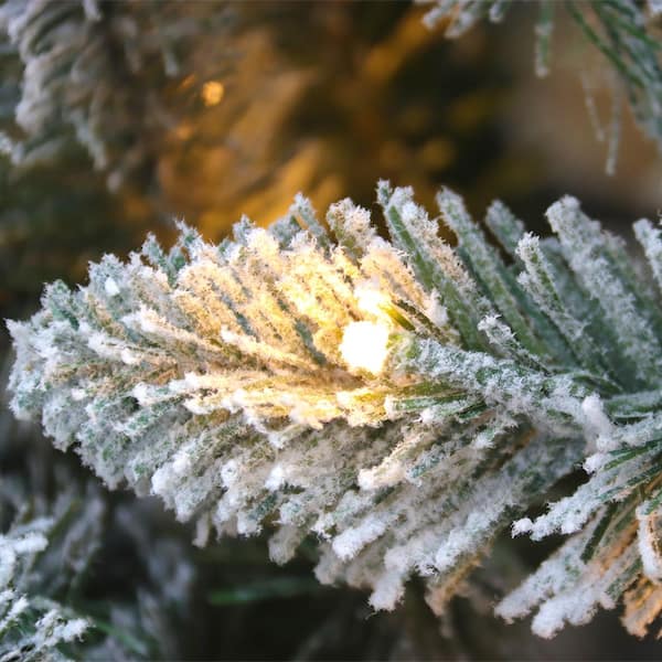 5 Foot Small Frosted Winter Spruce Flocked Christmas Tree (5 Ft Unlit)