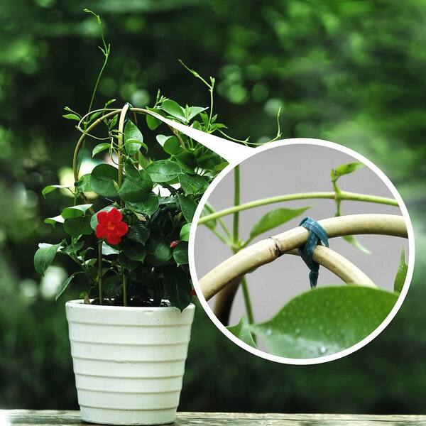 3-Pack Bamboo Trellis – 16 Inch Fan-Shaped Plant Support For Indoor Potted Plants