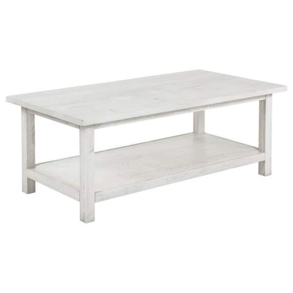 Ayne 24 in. White Rectangle Wood Coffee Table with Includes Storage Space