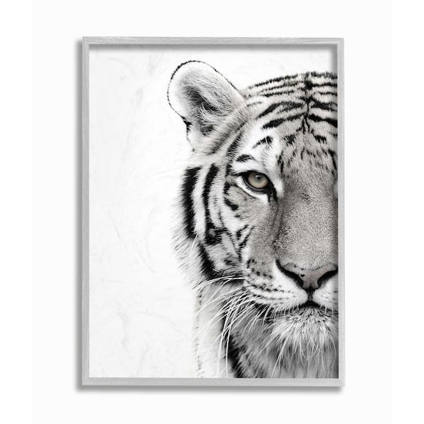 Stupell Industries 16 in. x 20 in. "White Tiger Close Up Black and White Photography" by Design Fabrikken Framed Wall Art