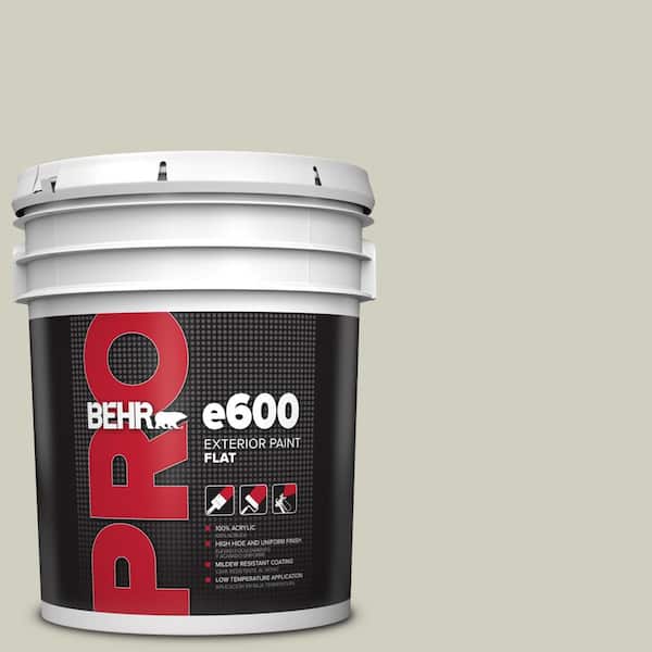 BEHR PRO 5 gal. #N350-2 Sawgrass Flat Exterior Paint