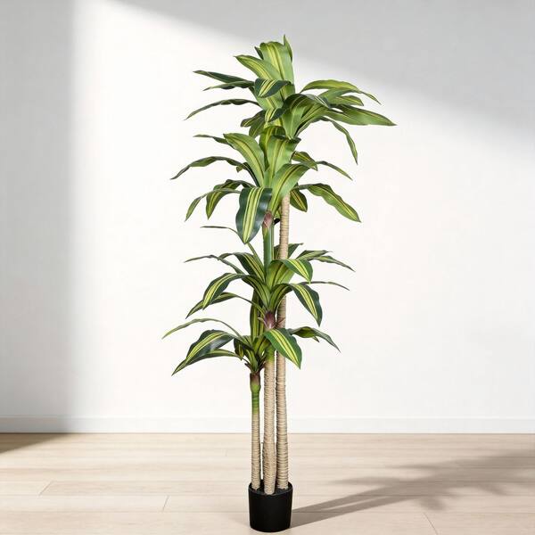 5 ft. Artificial Fresh-looking Dracaena Tree in Black Plastic  Pot,Detachable and compressible,1-Piece/set for Home Decor SW-W3912P437626  - The Home Depot