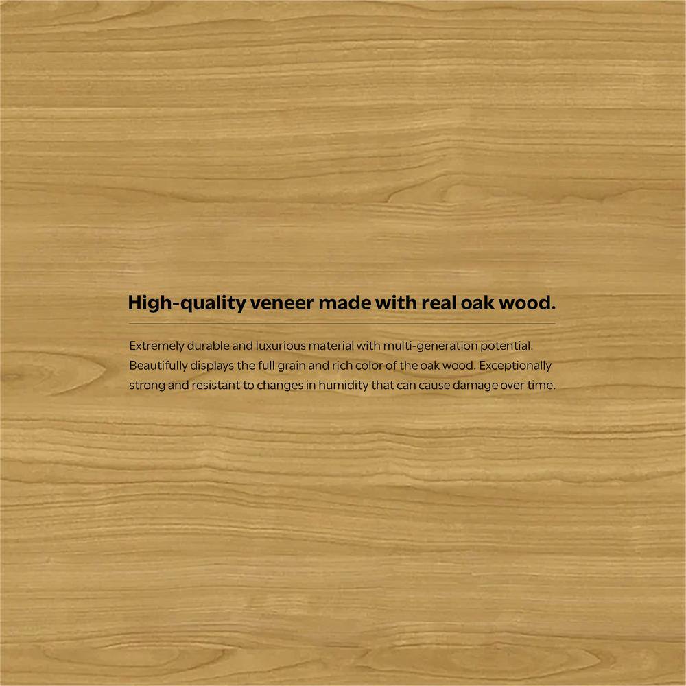 Lowry Modern Industrial Oak Veneer TV Stand with Storage