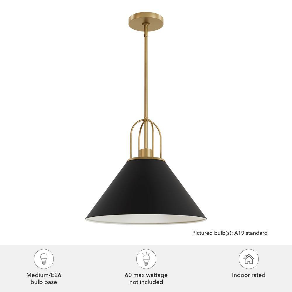Matte Black and Luxe Gold Aluminum Pendant Light Fixture