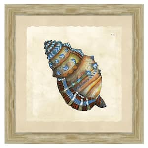 "Coastal motifs - Triton's trumpet seashell" Framed Archival Paper Wall Art (20 in. x 20 in. full size)