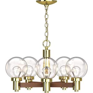 5-Lights Polished Brass Chandelier with Glass Shade