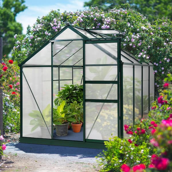 EAGLE PEAK 6 ft. W x 8 ft. D x 7 ft. H Outdoor Walk-In Hobby Greenhouse with Sliding Door
