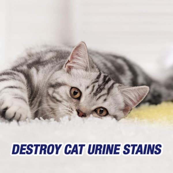 96 oz. Urine Destroyer Carpet Steam Cleaner