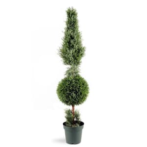 5 ft. Artificial Juniper Cone and Ball Topiary Tree in Green Round Plastic Pot