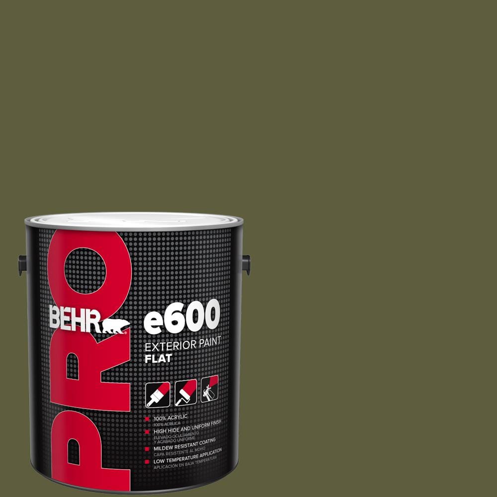 1 gal. #PPU9-25 Eastern Bamboo Flat Exterior Paint price history on PriceWatchPro
