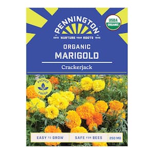 Organic Marigold Crackerjack Flower Seeds