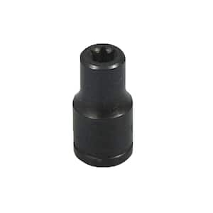 Torx Socket