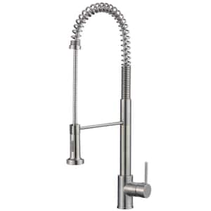 Vesoul Single Handle Single Hole Pull Down Sprayer Kitchen Faucet Single Handle in Brushed Nickel