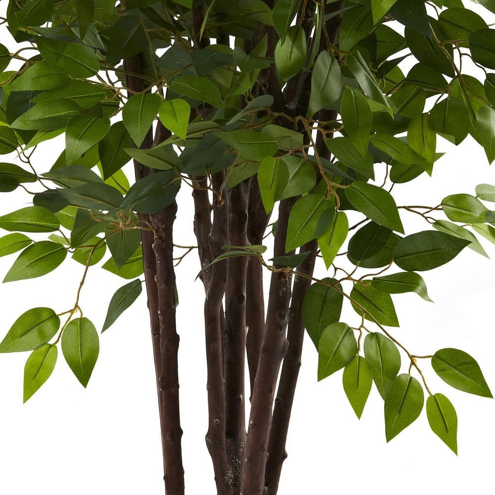 6.5' Green Silk Ficus Tree in Black Pot