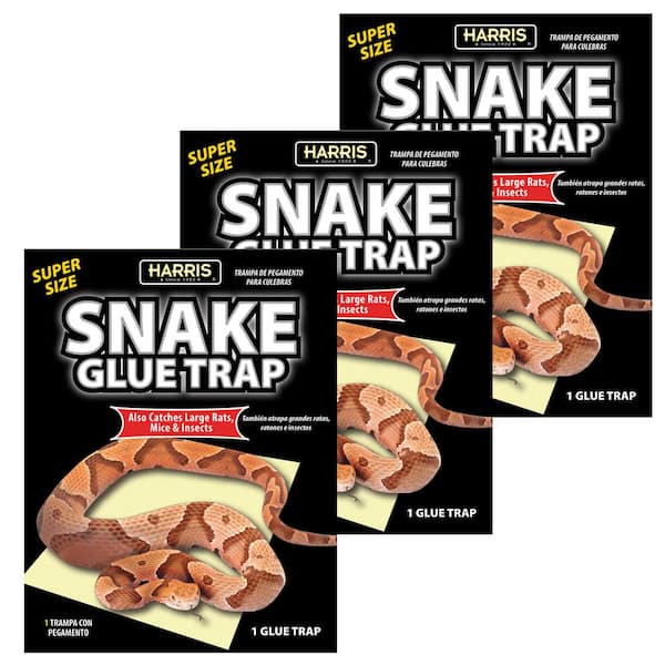Pic 4 Glue Pest Trap for Spiders and Snakes (3-Packs)