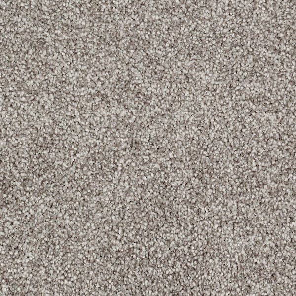 Lifeproof with Petproof Technology 8 in. x 8 in. Texture Carpet Sample - Silver Mane II -Color Ancestral Haze