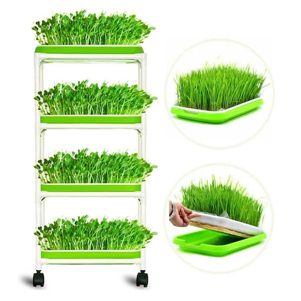 Self-Watering Seed Starter Tray Kit with Grow Light and Humidity Dome 3 Color Light 5-Pack 60-Cell Germination Trays