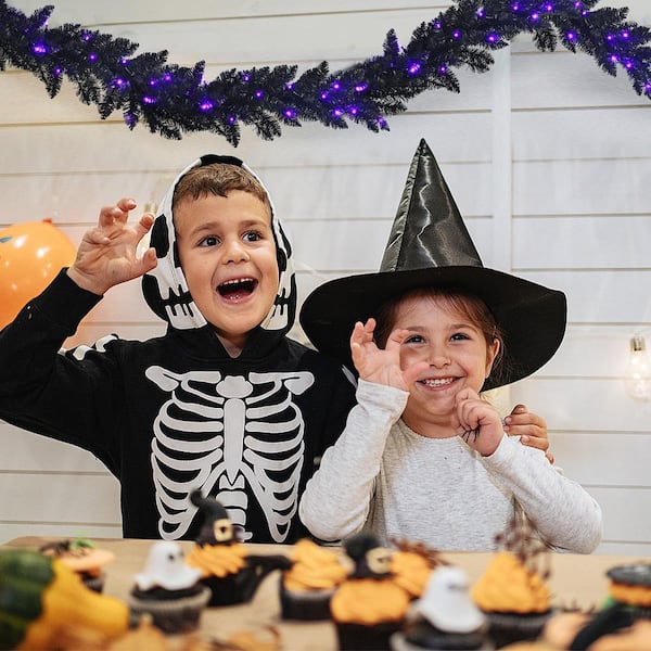 9 Ft Pre-lit Black Halloween Wreath Garland Christmas Rattan w/LED Lights & Timer
