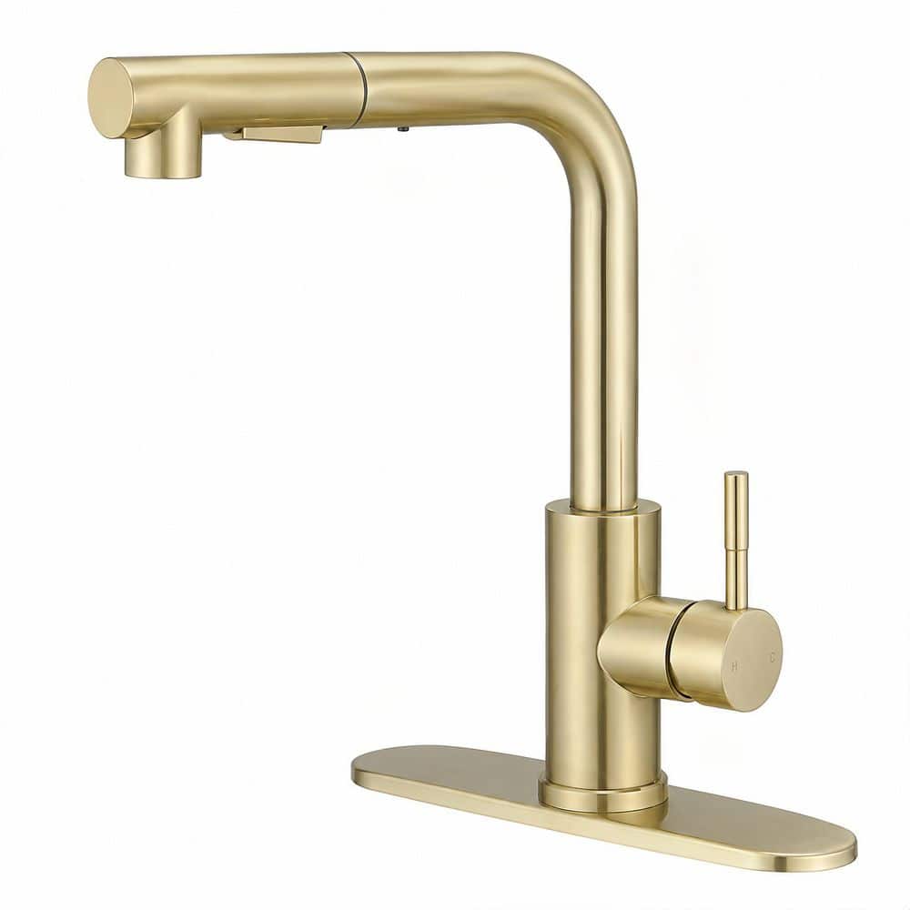 Single Handle Pull Out Sprayer Kitchen Faucet with Pull Out Spray Wand in Brushed Gold price history on PriceWatchPro