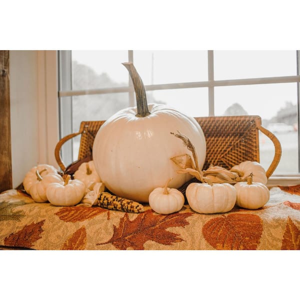 pumpkinホワイト キャビネット キャビネット ホワイト