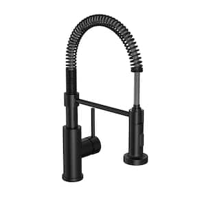 Cartway Single-Handle Spring Non Pull-Down Sprayer Kitchen Faucet in Matte Black