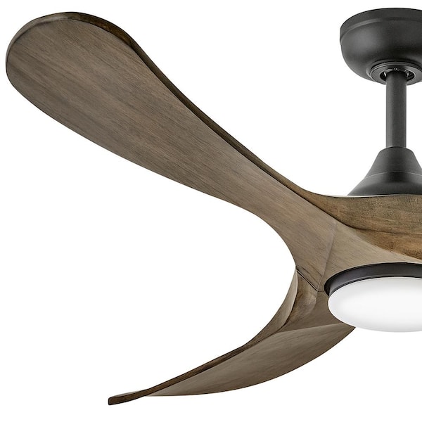 Swell Illuminated 56.0 in. Indoor/Outdoor Integrated LED Matte Black Ceiling Fan with Remote Control