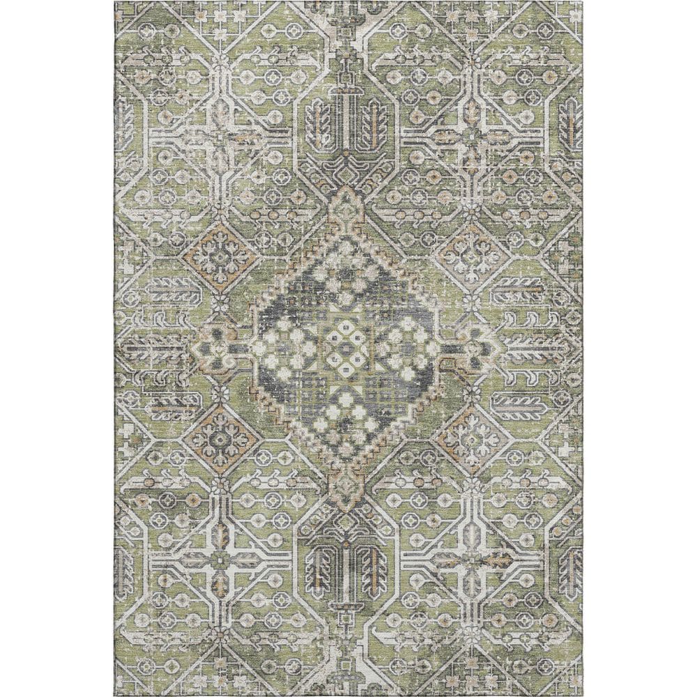 Mayfield Premium Machine Washable Abstract AMF2197 Aloe 10 ft. x 14 ft. Area Rug price history on PriceWatchPro