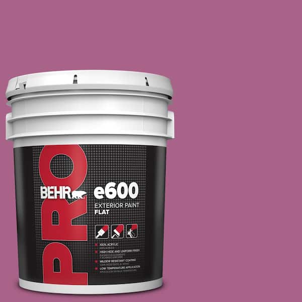 BEHR PRO 5 gal. #690B-6 Wild Mulberry Flat Exterior Paint
