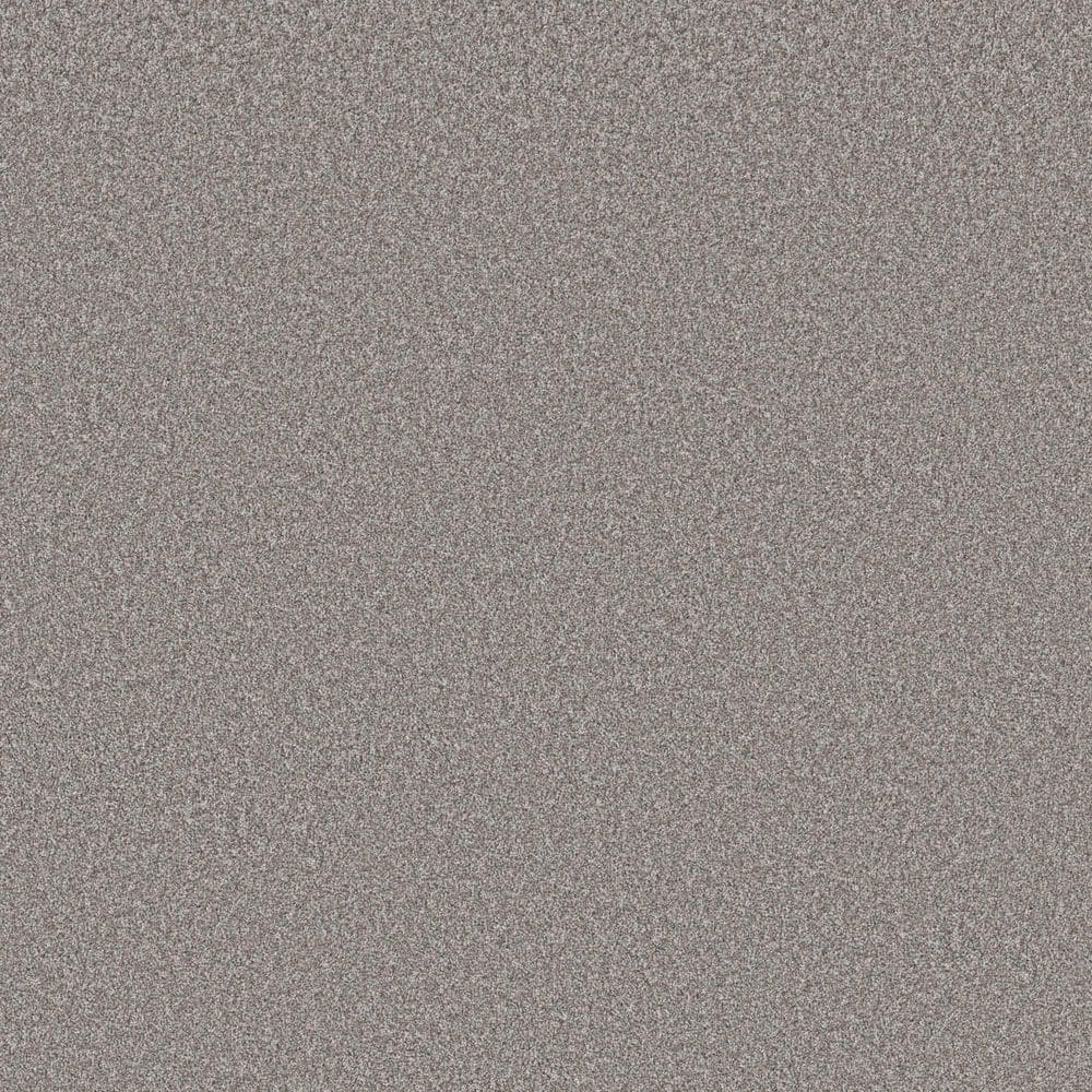 8 in. x 8 in. Texture Carpet Sample - Snug Sweets III - Color Gunmetal price history on PriceWatchPro