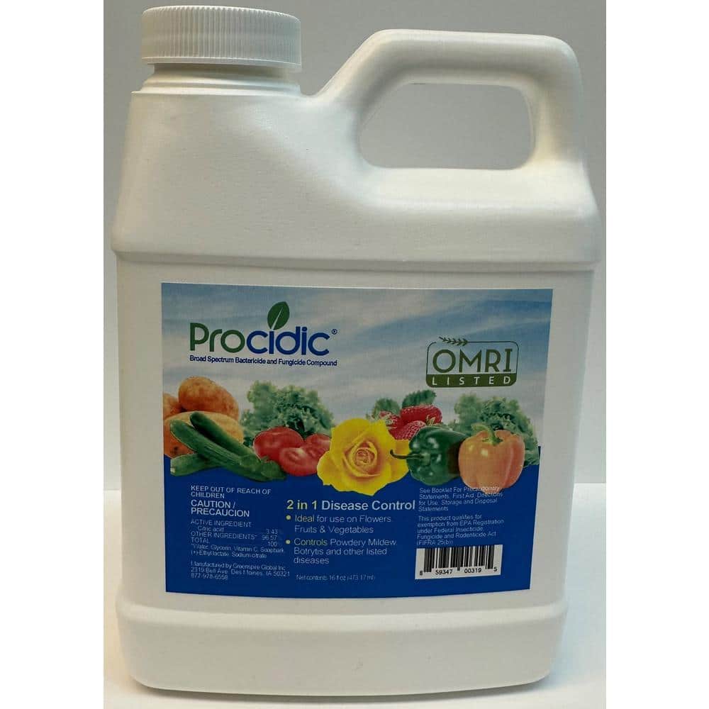 Procidic 16 oz. Concentrate Bactericide and Fungicide 11C0016 - The Home  Depot