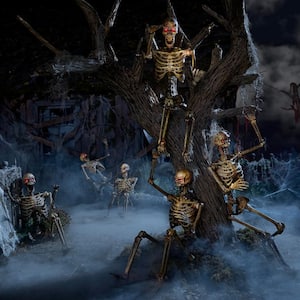5 ft. Poseable Decayed Skeleton with LED eyes (6-Pack)