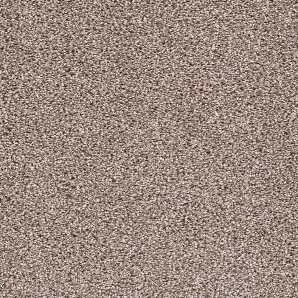 8 in. x  8 in. Texture Carpet Sample - Affectionate I -Color Outgoing price history on PriceWatchPro