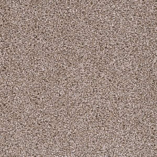 Home Decorators Collection 8 in. x  8 in. Texture Carpet Sample - Affectionate I -Color Outgoing