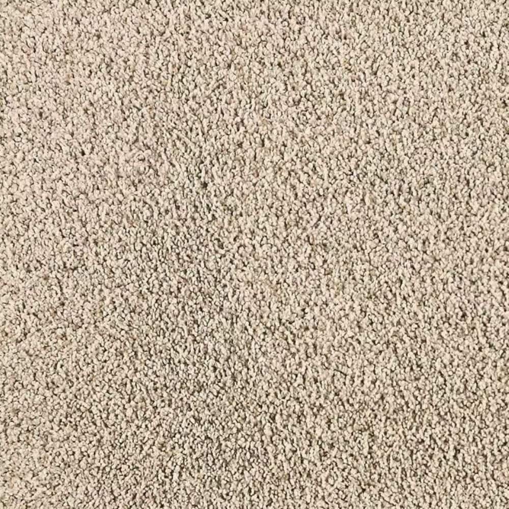 8 in. x 8 in. Texture Carpet Sample-Whisk & Whimsy II-Color Stone Work price history on PriceWatchPro