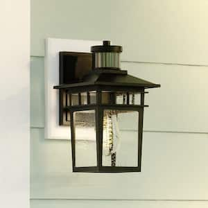 Ridge 6.5 in. W 1-Light Aluminum Black Motion Sensor Dusk to Dawn Outdoor Wall Lantern Clear Glass