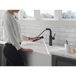 Daneri Single Handle Pull Out Sprayer Kitchen Faucet Deckplate Included in Matte Black