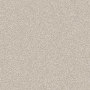 Rosemary II - Chiffon -Beige 56 oz. High Performance Polyester Texture Installed Carpet