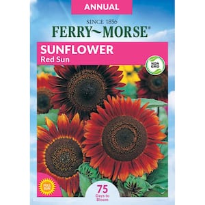 Ferry-Morse Cosmos Dwarf Cutesy Flower Seeds (Seed Packet) 330-mg