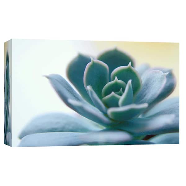 PTM Images 10 in. x 12 in. ''Succulent Spike'' Printed Canvas Wall Art