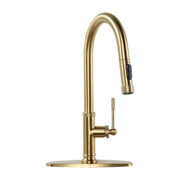 Brass Single Handle Pull Down Sprayer Kitchen Faucet with 2-Mode Advanced Spray, Deck Plate and Supply Lines in Gold