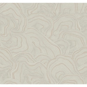 Ronald Redding Taupe Geodes Paper Unpasted Matte Wallpaper (27 in. x 27 ft.)