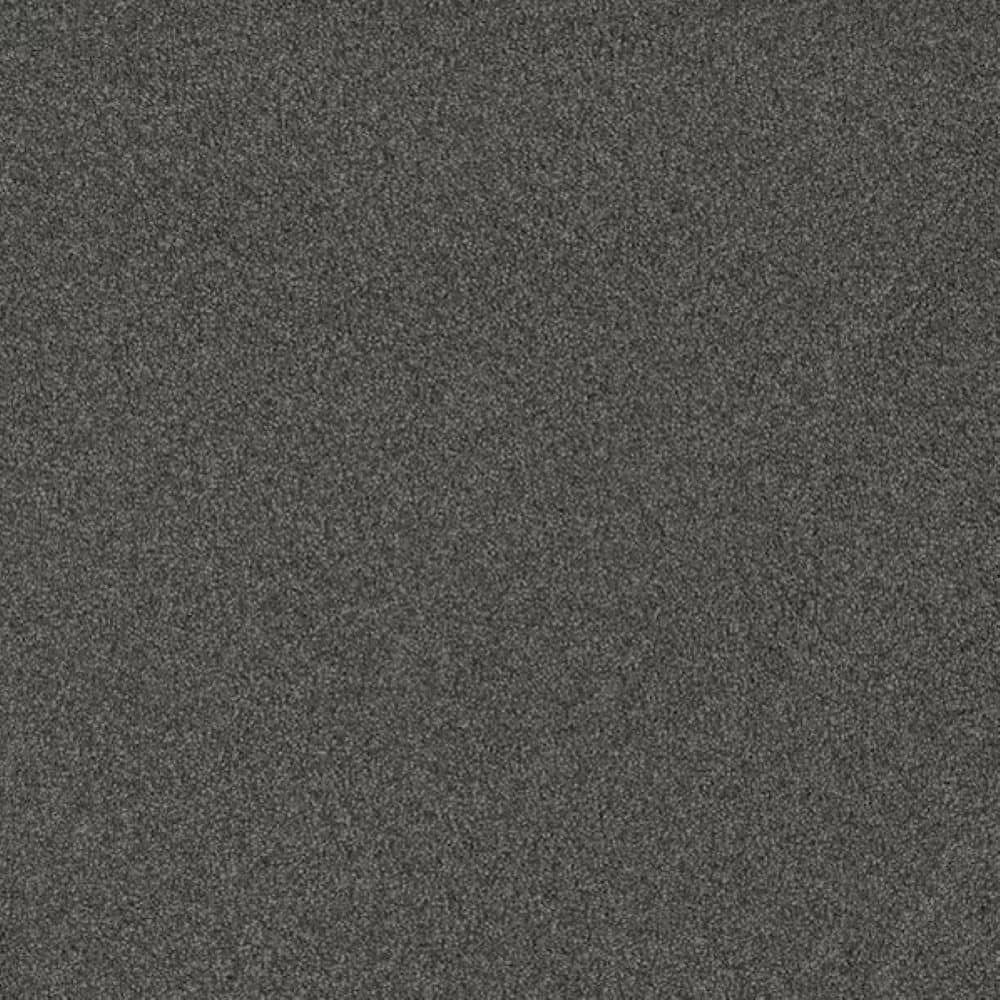 8 in. x 8 in. Texture Carpet Sample-Harpstring I-Color Delicate price history on PriceWatchPro