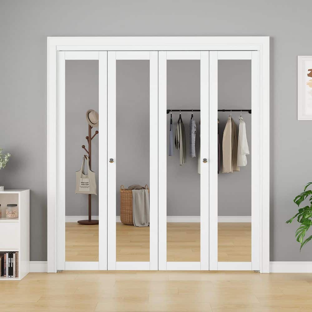 EH PUERTA 72 in. x 80 in. 1-Lite Mirrored Glass and Solid Core