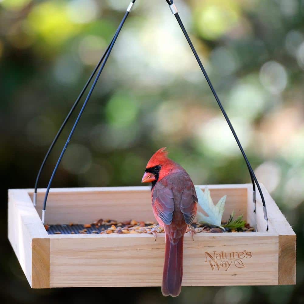 Nature's Way Cedar Platform Hanging Bird Feeder