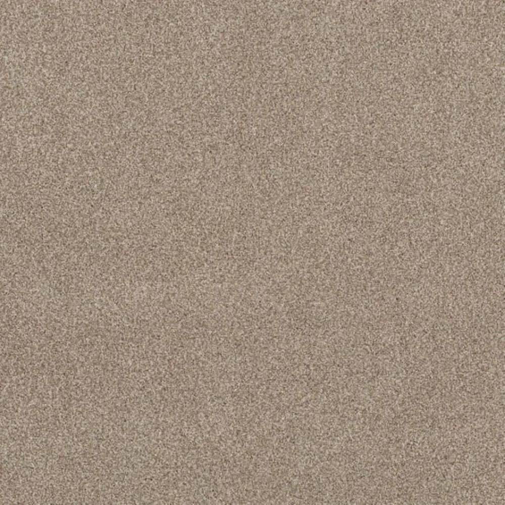 8 in. x 8 in. Texture Carpet Sample - Urban Artifact I - Color Dakota price history on PriceWatchPro