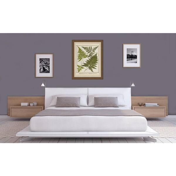 Vintage Print Gallery 20 in. x 24 in.