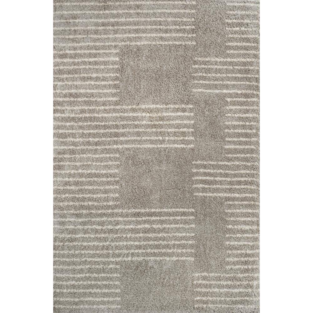 Gray and Ivory Rectangular Shag Area Rug