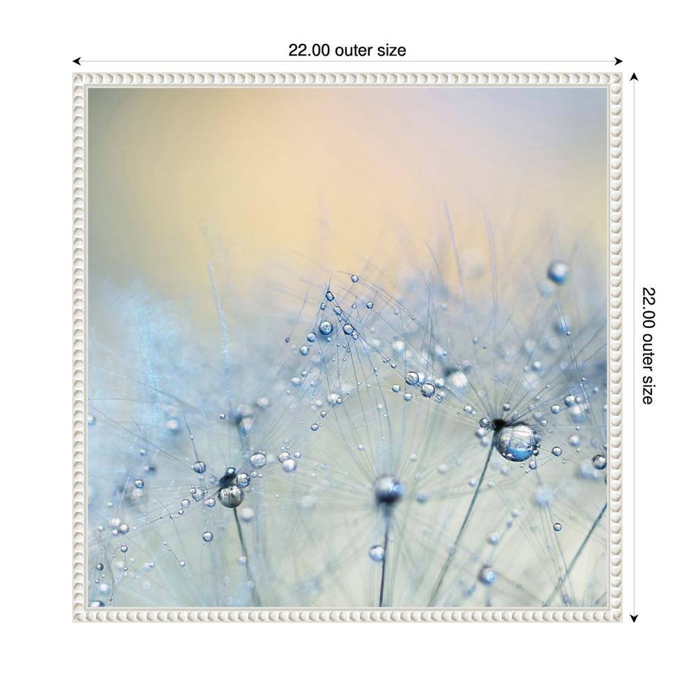 Ice Blue Dandelion Macro Canvas Print with White Floater Frame