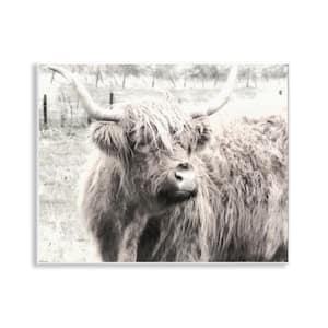 Highland Cow Gazing Portrait by Graffi*tee Studios Unframed Animal Graphic Art Print 11 in. x 14 in.